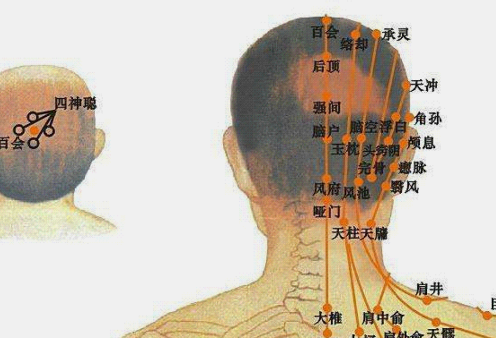頭部穴位玉枕穴