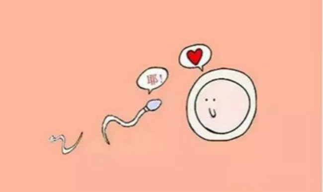 正常精子漫畫圖 