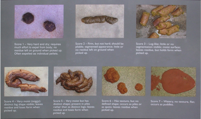 腸癌的症狀 (34) 