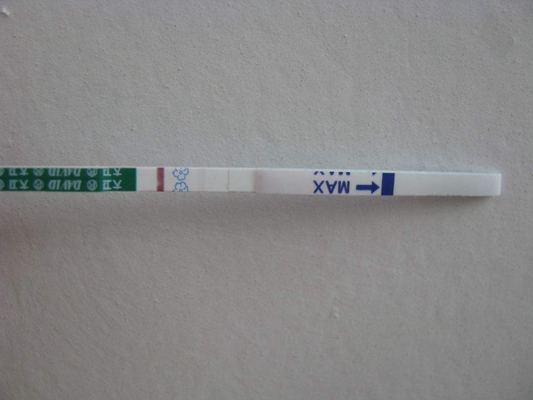 排卵試紙測早孕圖 (41) 