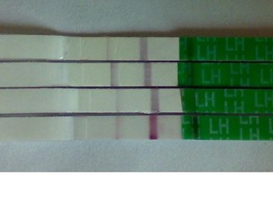 排卵試紙測早孕圖 (9) 