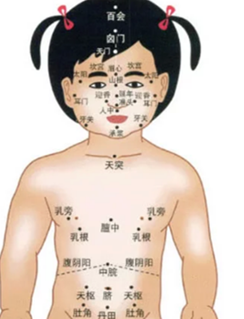 小兒的風池穴頭部穴位