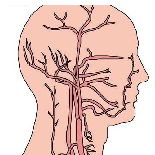腦炎之後的注意事項 