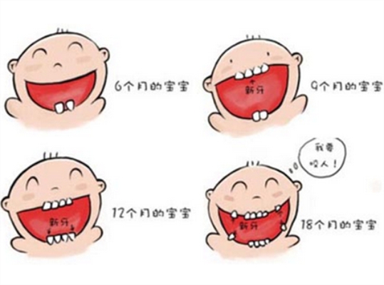 乳牙換牙順序 (44) 