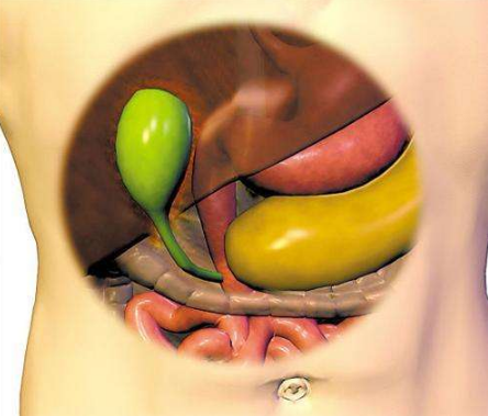 膽結石疼痛部位圖 (64) 