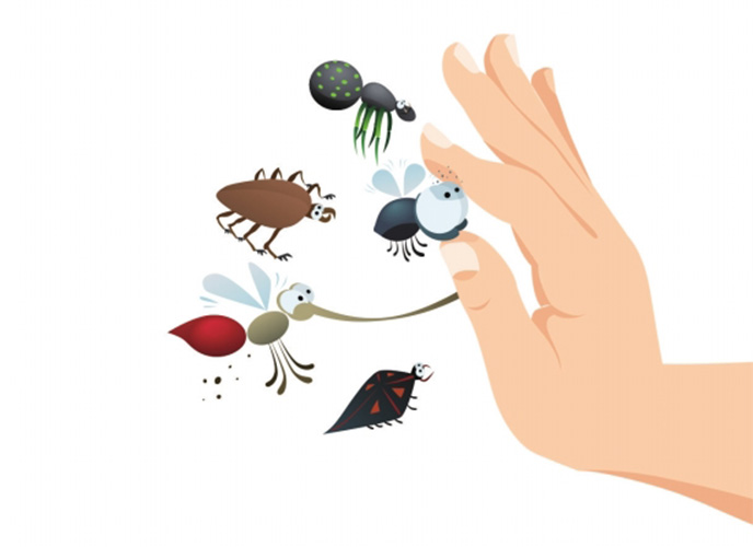 隱翅蟲皮炎原因 