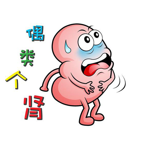 腎囊腫如何治療 