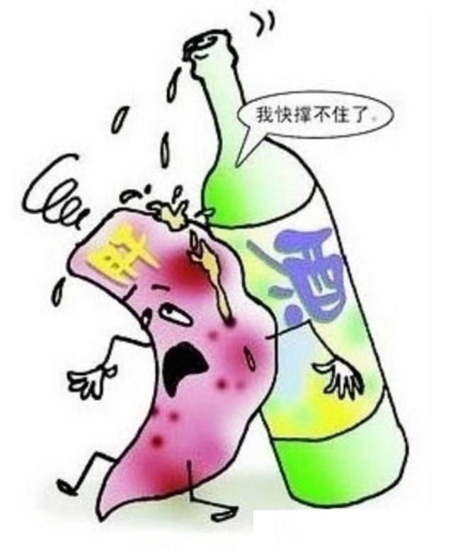 酒精肝可以有效的預防 