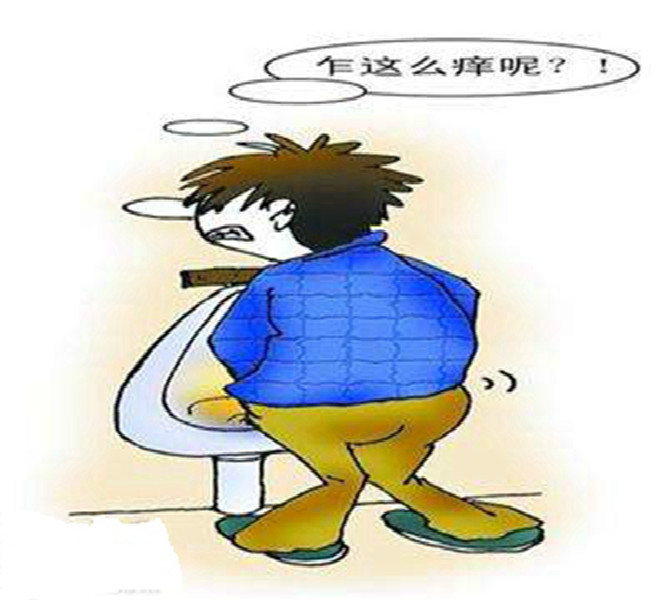 男性陰蝨症狀漫畫